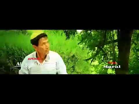 Alym Aman Maral 2019