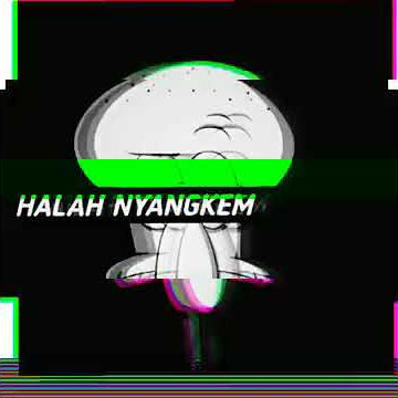 Halah nyangkem story wa