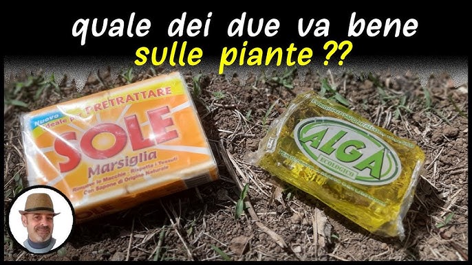 Sub ENG - A cosa serve il sapone molle di potassio? Come si utilizza? 