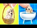 Save the Tiny Puppy! Poor vs Rich vs Giga Rich Hacks for Pet Owners | Extreme Pet Rescue by TeenVee