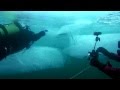 Sensasi selam di bawah danau beku Baikal dg suhu -20 C !