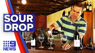 China launches investigation into Australian wine | 9 News Australia