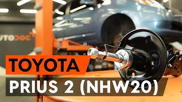 Så byter du ett fjäderben fram på TOYOTA PRIUS 2 (NHW20) [AUTODOC-LEKTION]