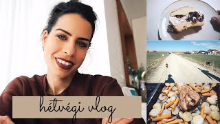 Hétvégi Vlog // túrókrémes piskóta, kutyik, cuki karácsonyi süti dekorok | Inez Dragos