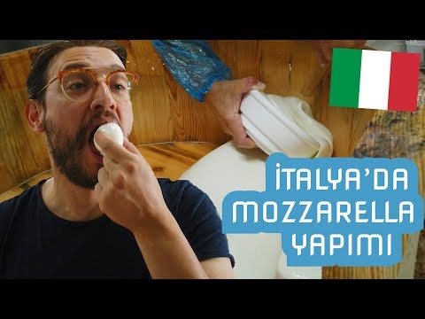 Video: İtalya'da Mozzarella Peyniri üretimi