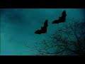 Tame Impala Dracula Best Part Looped Intro Outro