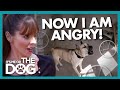 Victoria Gets Angry When Dog is Locked In 'Dungeon' For 15 Hours | It's Me or The Dog