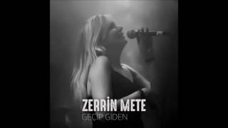 Zerrin Mete - Geçip Giden Resimi