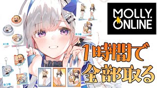 【モーリーオンライン】ノエフレグッズ全部取る✨１時間チャレンジ！！【天音かなた/ホロライブ】