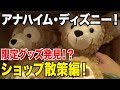 √1000以上 カリフォルニア ディズニー ダッフィー グ���ズ 165284-カリフォルニア ���ィズニー ツアー チケッ��付き