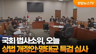 국회 법사소위, 오늘 상법 개정안·명태균 특검 심사 / 연합뉴스TV (YonhapnewsTV)
