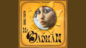 Mr. Badman