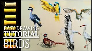 Let's sketch birds in soft pastels | Easy drawing tutorial screenshot 1