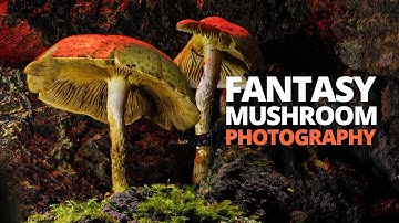 LED Lighting for Mushrooms - Autumn Macro Photography Tutorial
