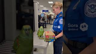 Cocos Package Is Huge Officer Is Injured