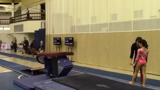 Level 4 Gymnastics - Vault 6: BCG Valentine Invitational - Session 5