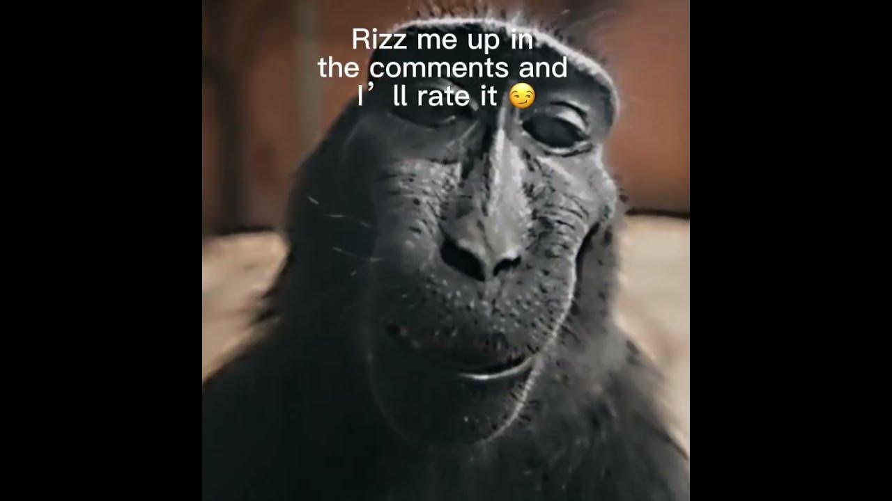Bro got that rizz😳 #meme#monkey #rizz 