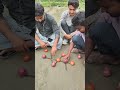 আমদের গ্রামের ছেলেদের চ্যালেঞ্জ #youtubeshorts #partygames #shortsfeed #viral #fun #amazing