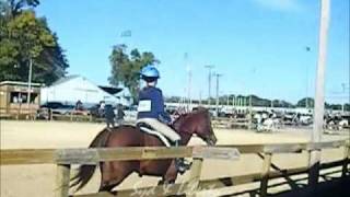 Jumping 2'4 - 2'9