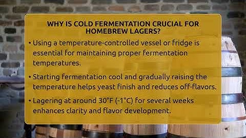 Why Is Cold Fermentation Crucial For Homebrew Lagers? - The Pint Guy