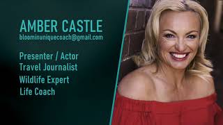 Amber Castle Tv Presenter Showreel