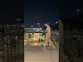 ربنا مايحوجني لحد حكم عربية شعر ربنا مايحوجني لحد حكم عربية شعر