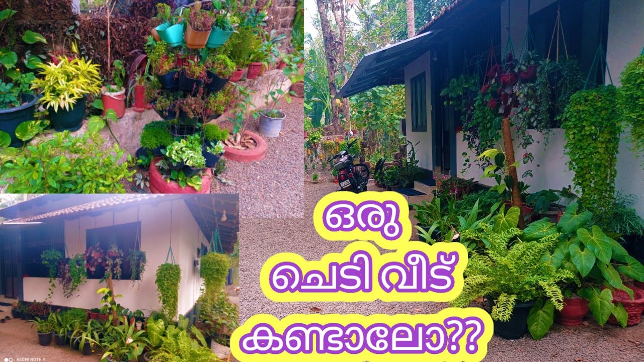 Home Garden Tour Malayalam Garden Settings Gardening Garden Tour