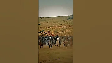 يا خيل الله اركبي طارق بن زياد 