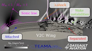 Transonic buffet : An overview