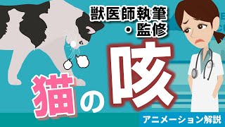 猫の咳の症状について【獣医師執筆監修】症状から治療方法