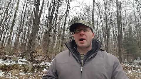 Use AmmoSeek app to find ammo in coron-avirus shortage