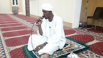 ارح قلبك ـ( مُهَدِّئ) | تلاوه فريده وخاشعه | بصوت القارئ نورالدائم الامين | ءآيات من سورة الاعراف