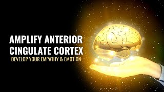 Amplify Your Anterior Cingulate Cortex Develop Your Empathy Emotion And Impulse Control 528 Hz