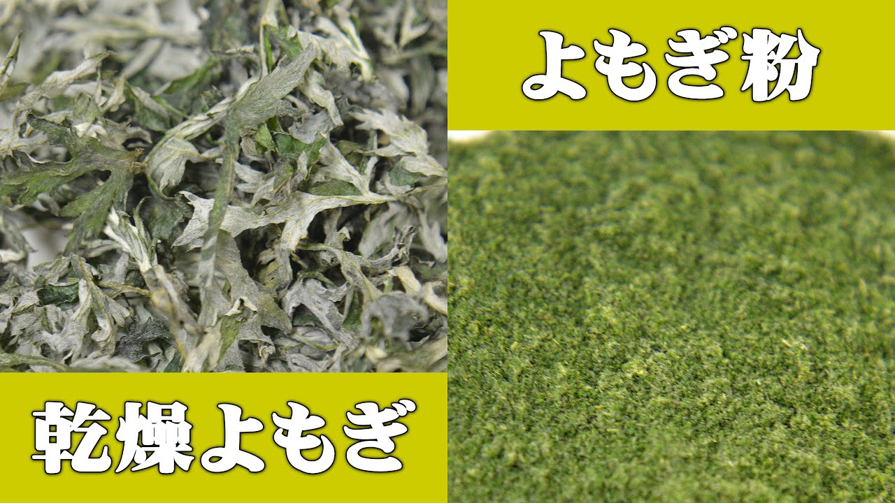よもぎの保存方法（乾燥よもぎ・よもぎ粉） - YouTube