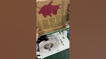 How to apply the sealing label to the carton with a hook #labelingequipment #labelingmachine