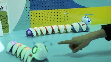 Fisher-Price Think & Learn Code-A-Pillar