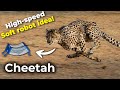 Cheetah inspired soft robot | Fast Biomimetic Robot