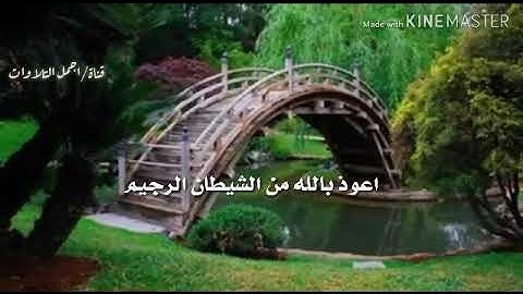 تلاوة خاشعة تثلج الصدر للقارئ 🍁🍁عبدالرحمن مسعد🍁🍁