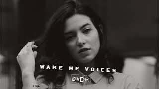 DNDM - Wake me & Voices (Two Original Mixes)