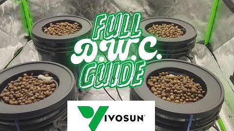 This DWC Setup Will Change the Way You Grow - VIVOSUN (DWC Grow Series Ep. 2)