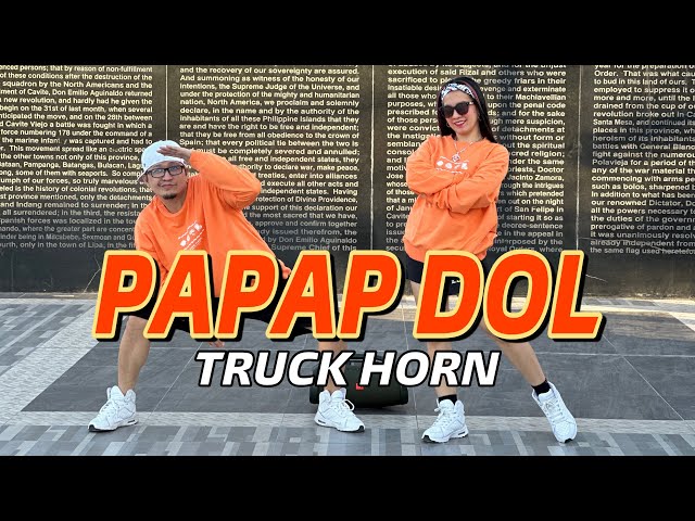 PAPAP DOL x TRUCK HORN l Dj Krz Budots Remix l Dance Workout class=
