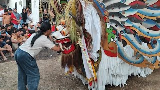 GEbyar Barong kumbo Gede & Barong Prejeng Lang lang jagat live sempu Sarimulyo cluring.