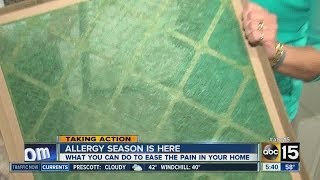 Windy conditions add to bad allergy season