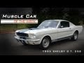 1965 Shelby G.T. 350 Muscle Car Of The Week Video #17