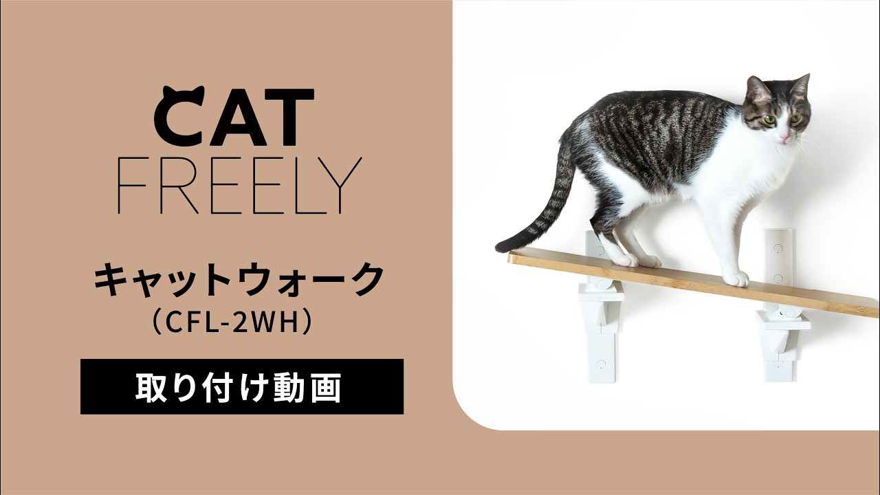 キャットステップ＆ウォーク【CAT FREELY（キャットフリーリー）】By