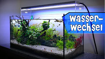 Wie mache ich mein Aquarium richtig sauber?