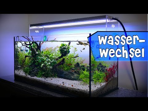 Video: So Reinigen Sie Ein Aquarium