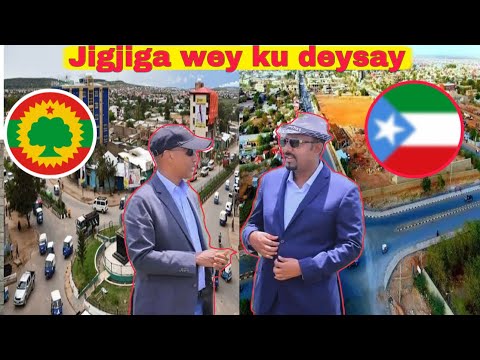 DEGDEG Jigjiga Oromo Ayay U Gacan Gashay Godey Aya Laga Dhigaya Caasimada 1aad Ee DDS DEGDEG Jigjiga Oromo Ayay U Gacan Gashay Godey Aya Laga Dhigaya Caasimada 1aad Ee DDS
