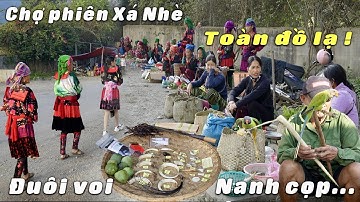Chợ XÁ NHÈ chợ phiên của người H"mông đỏ Điện Biên bán toàn đồ lạ | Tôi Người Vùng Cao