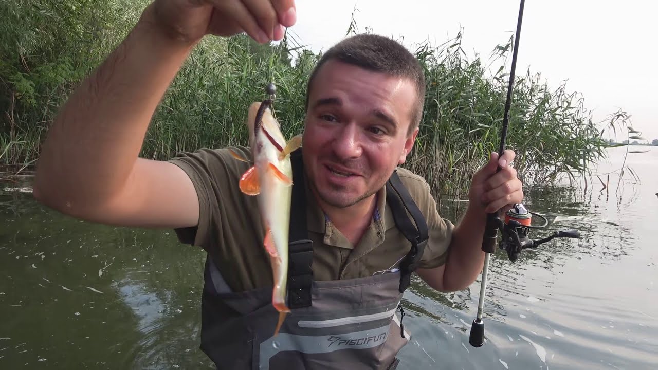 Ультралайт рыбалка по пояс в воде! НАЛОВИЛИ ВЕДРО ОКУНЯ на СПИННИНГ